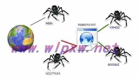 什么是搜索引擎蜘蛛?蜘蛛爬行策略有哪些?