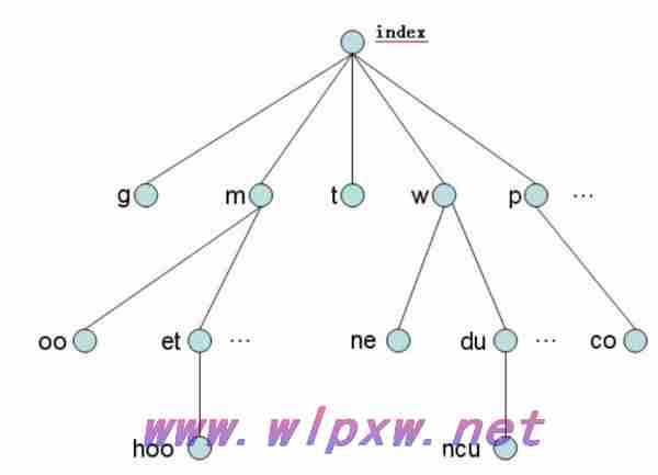 网站结构分析？