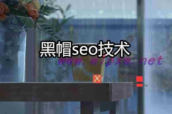 seo黑帽技术有哪些