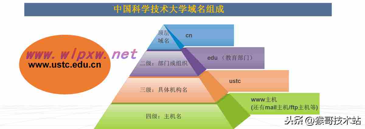 网站域名是指哪部分