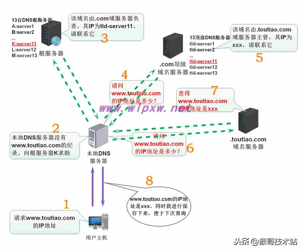 网站域名是指哪部分