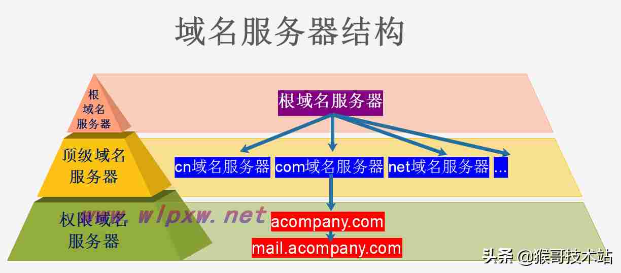 网站域名是指哪部分