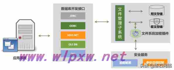 数字数据加密技术有哪些（十大数据存储加密技术）