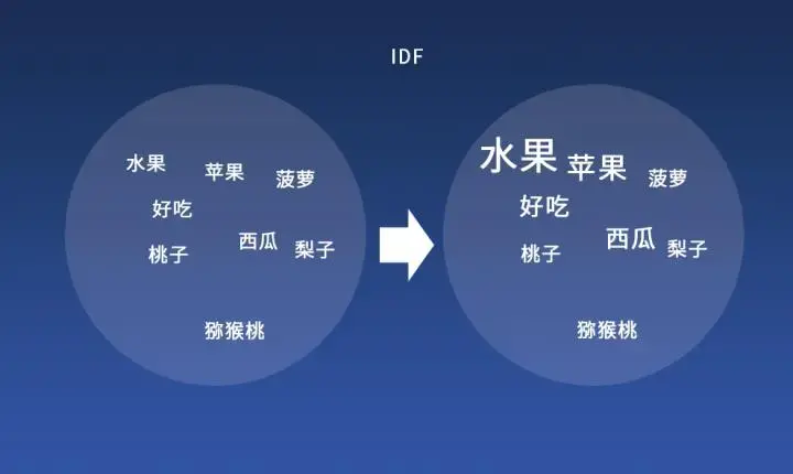 什么是TF-IDF算法