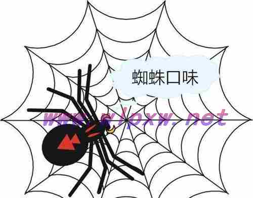 seo蜘蛛是什么意思