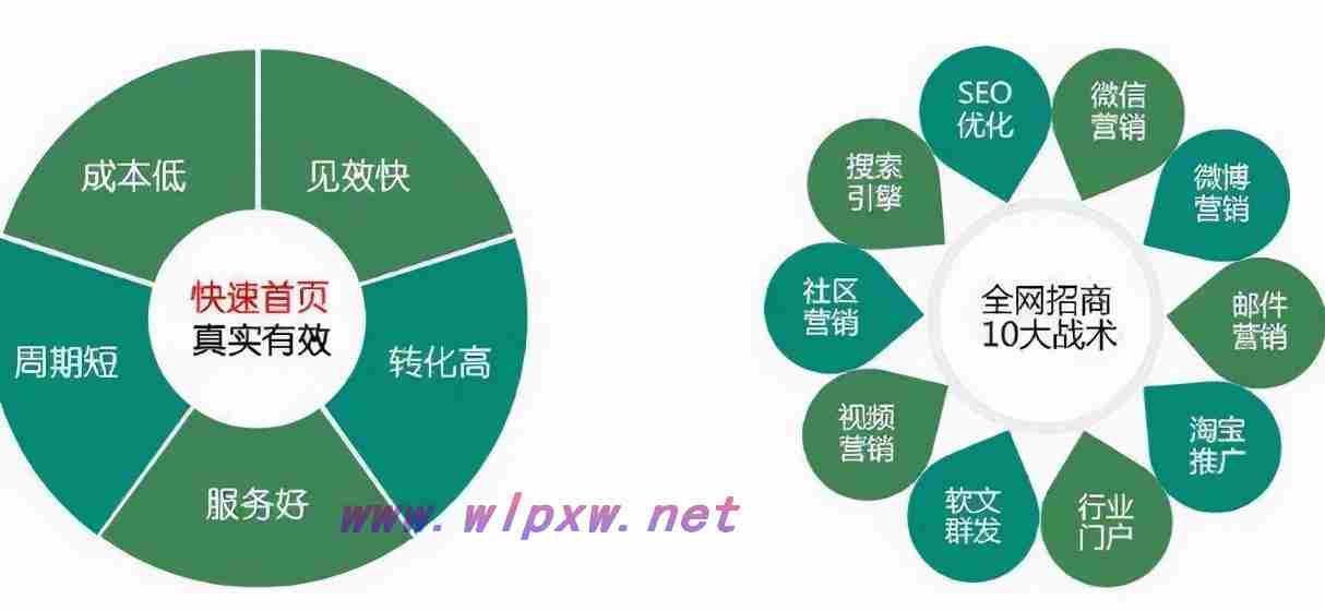 公司网站seo基础优化
