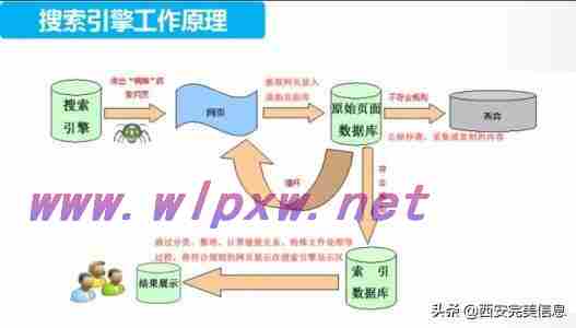 网站收录率一般多高