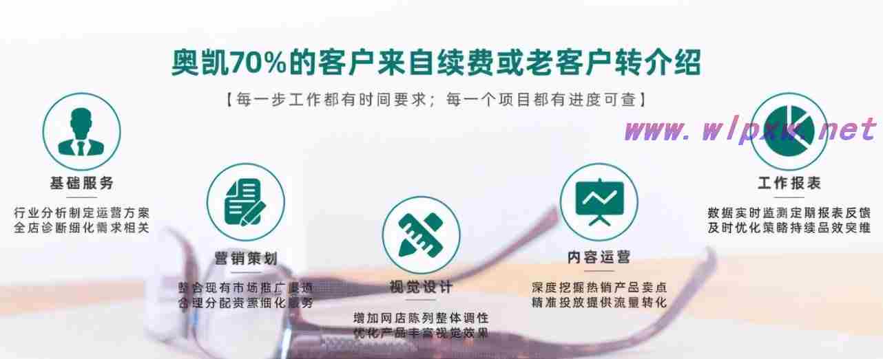 seo网站优化快速排名