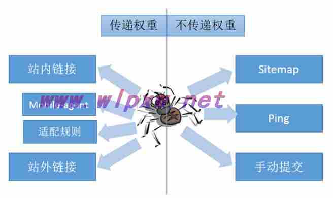 网站优化seo是什么