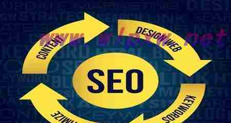 SEO网站优化（打造网站快速排名利器）