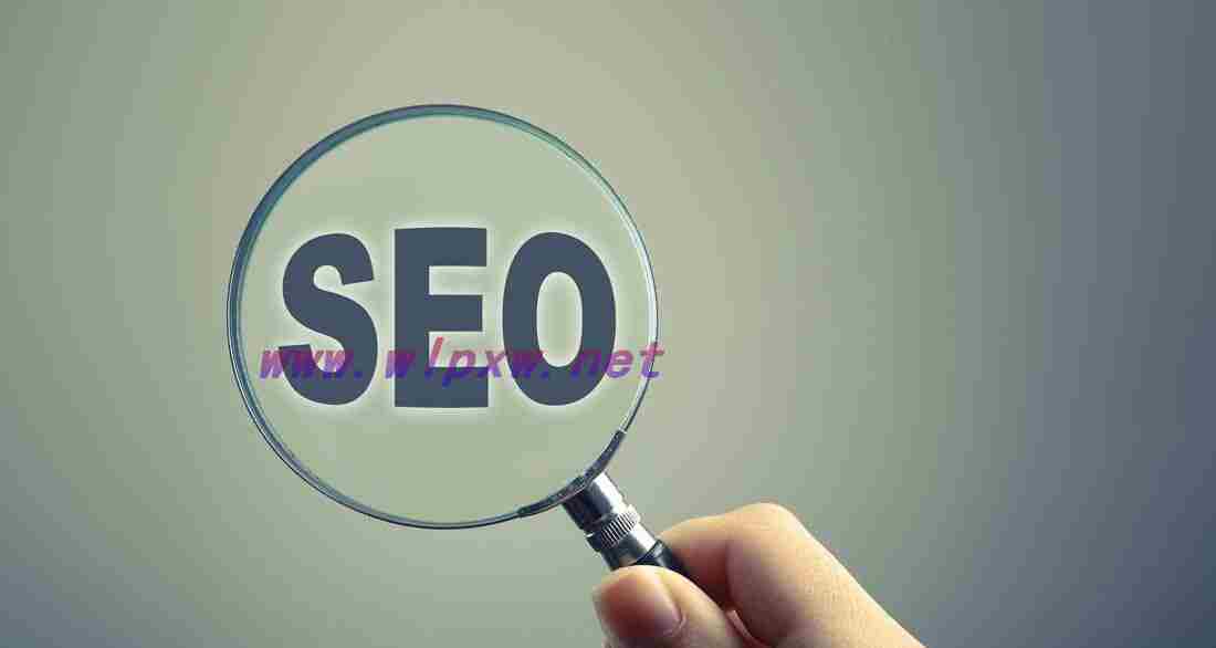 茂港SEO网站优化排名