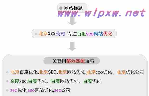 从零开始的SEO网站优化排名指南