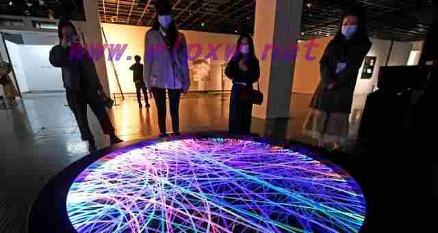 走进未来的艺术殿堂——2023年最具影响力的美术馆网站