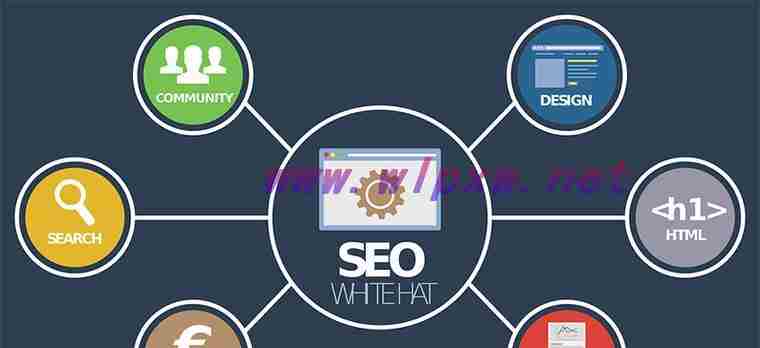 seo网站优化公司（大洼SEO网站优化）