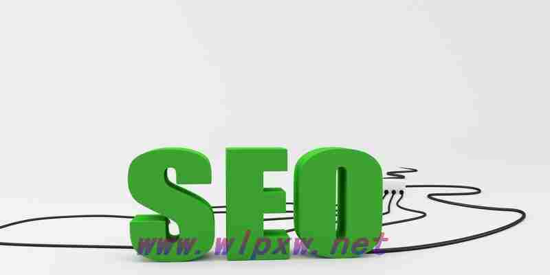 专业术语中seo的意思是什么（了解SEO是什么意思及其重要性）