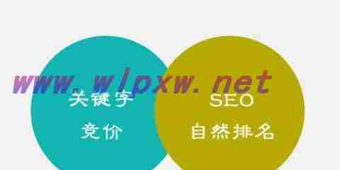 深入了解SEO优化的关键因素