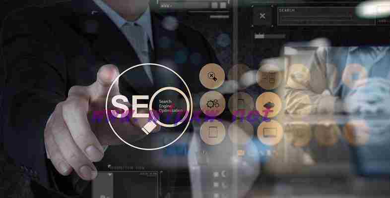 seo技术新手入门教程（SEO必备技巧）