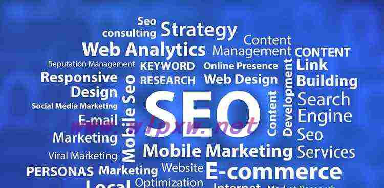 揭秘菠菜SEO优化的暴利行业（如何在菠菜行业中做好SEO优化？）