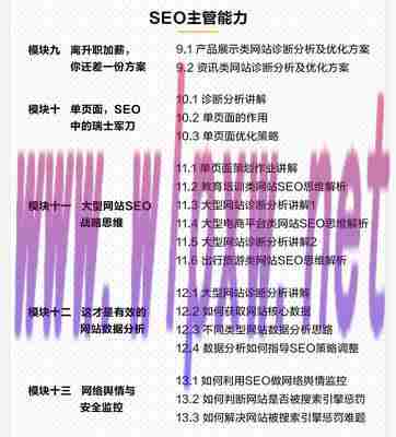 网络SEO运营人员的工作职责（深度解析SEO优化流程，提升网站排名关键技巧）