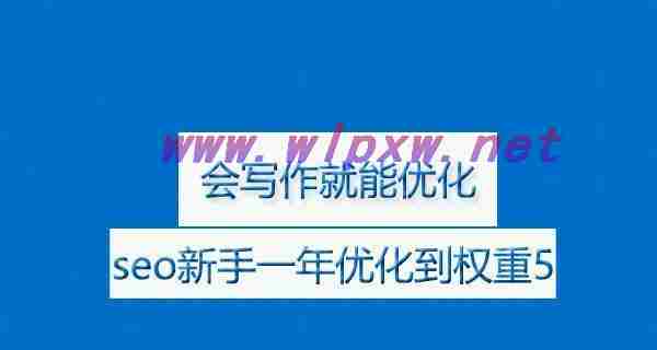 探秘一年内网站SEO优化，权重可达到多少？