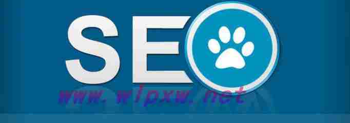 如何通过SEO技巧优化网站排名